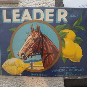 Leader Brand Horse and Lemon Art Print